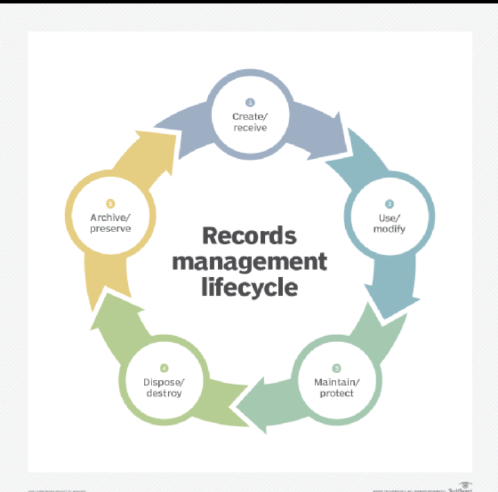 The lifecycle of records 